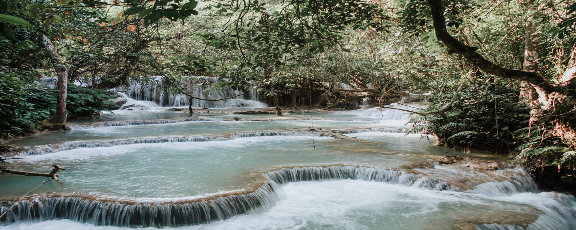 The Spine as the Riverbed of Love