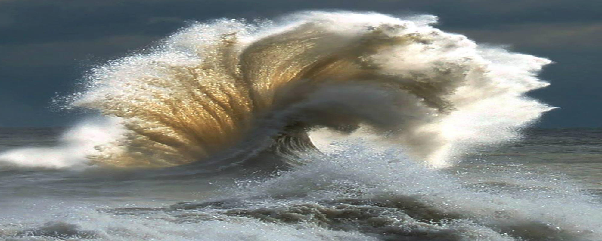 Exploring Wave Motion