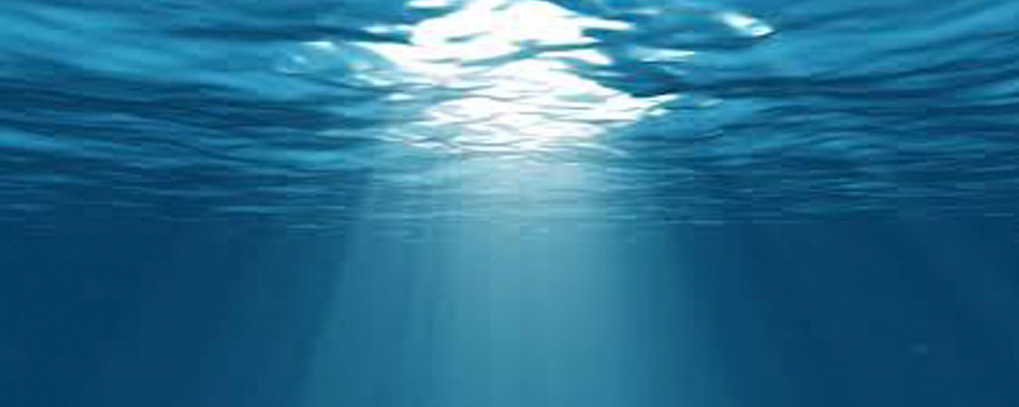 Resonant Body, Spacious Awareness