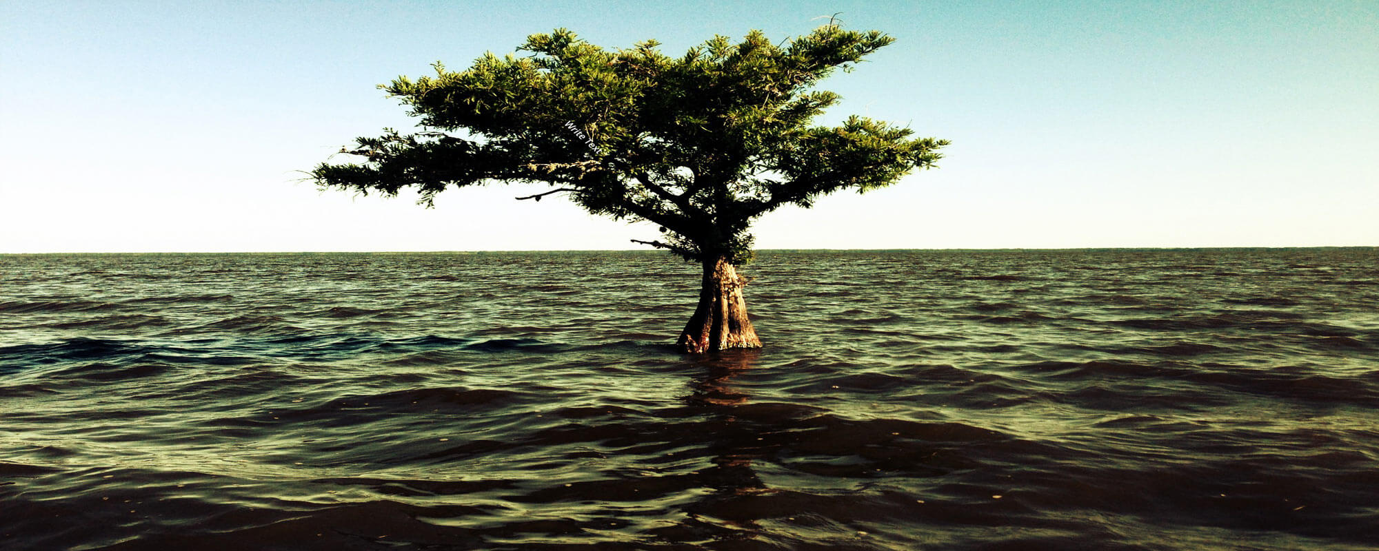 Diving to Write
