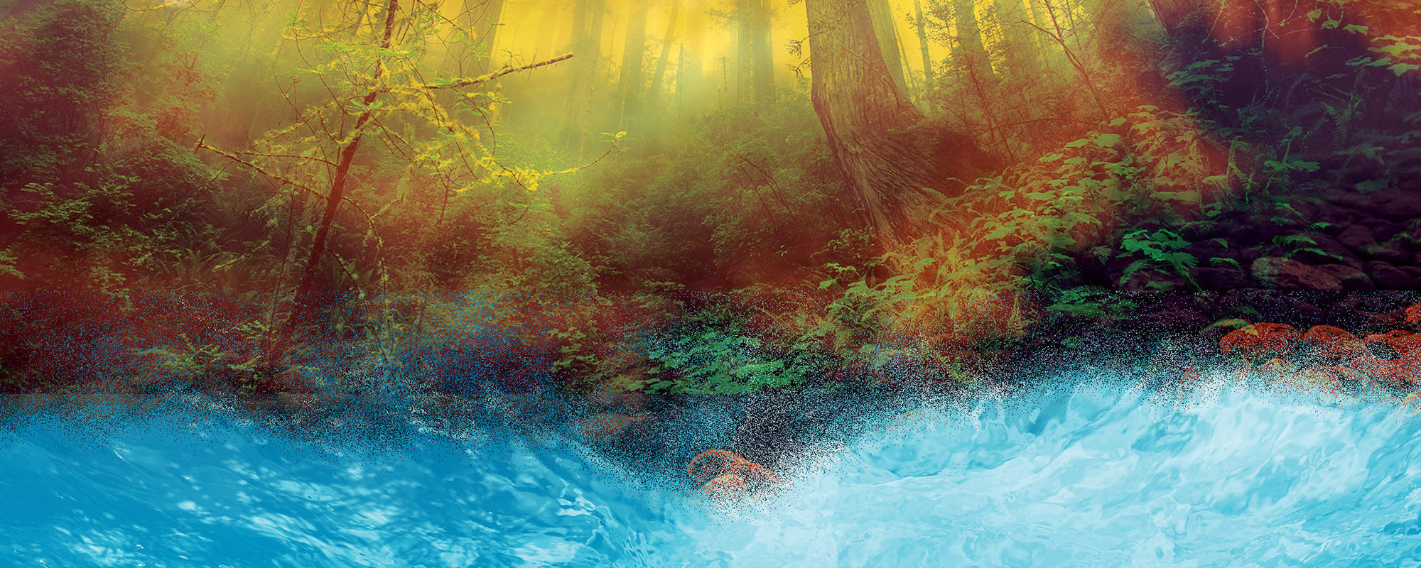 Somatic Movement Summit V: The Elemental Nature of the Body