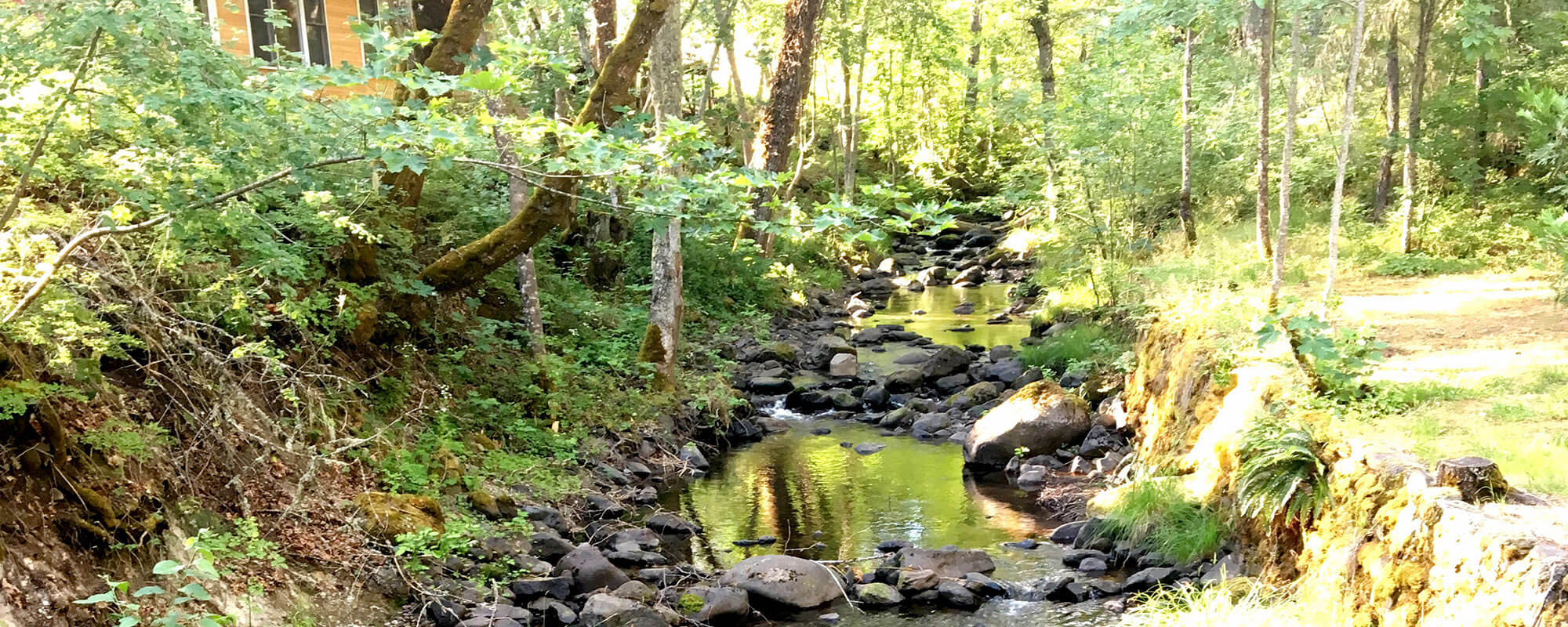 Continuum Wilderness Depths ~ Currently full, Email to Waitlist.