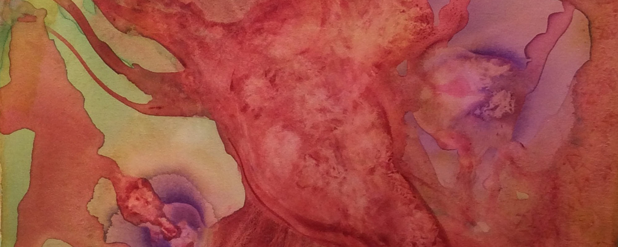 The Creativity of Health Interview by Watermark Arts