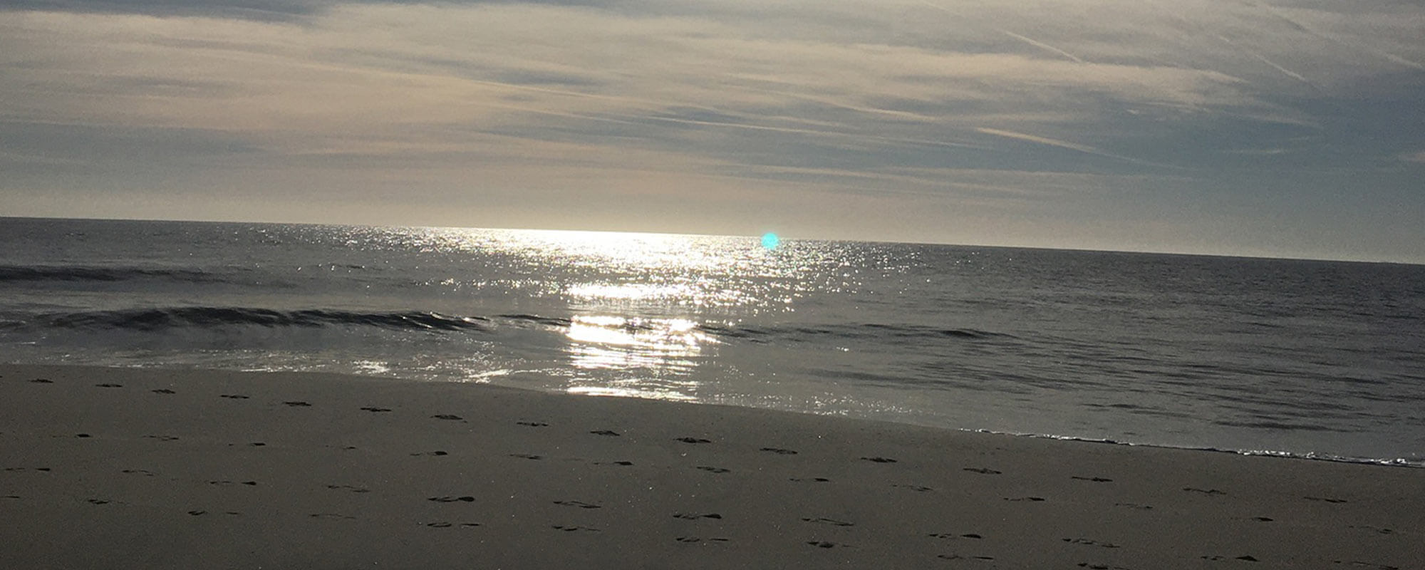 Warm Summer deeper dive