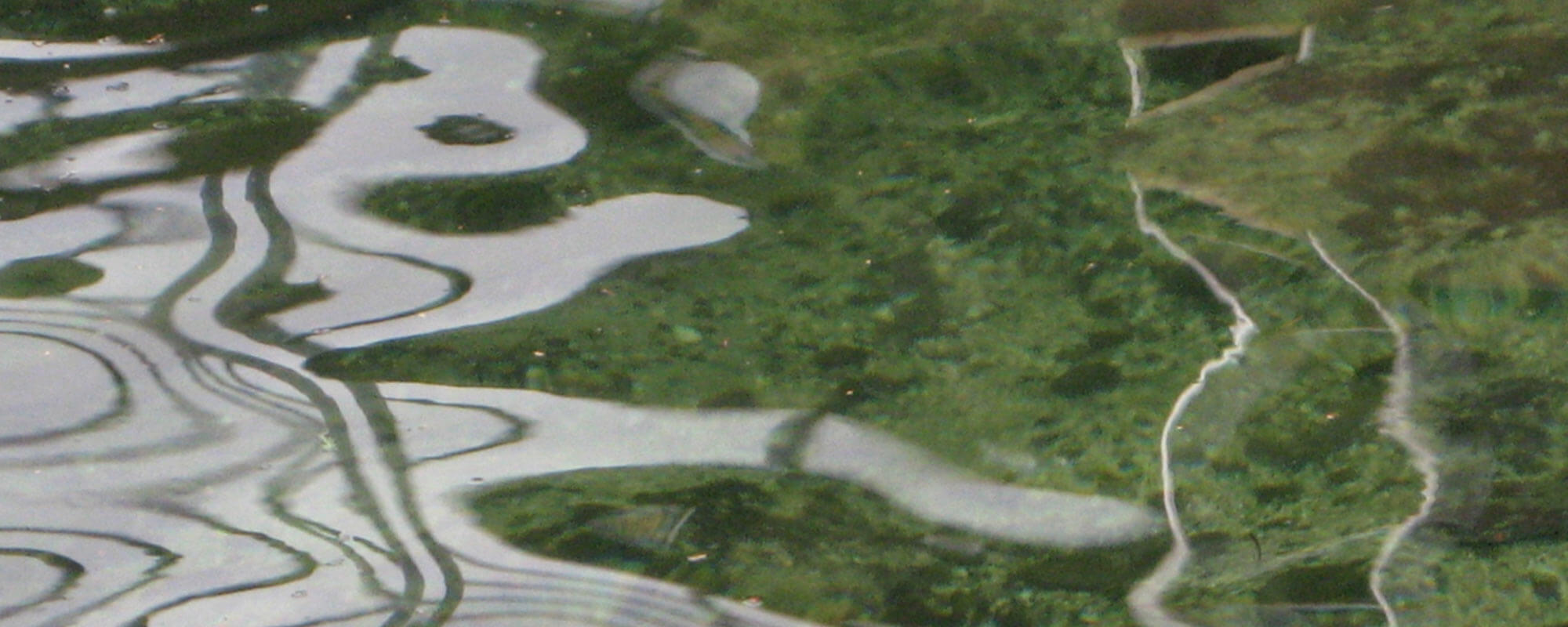 Continuum Weekly: Restorative & Nourishing Resources for Today and Everyday