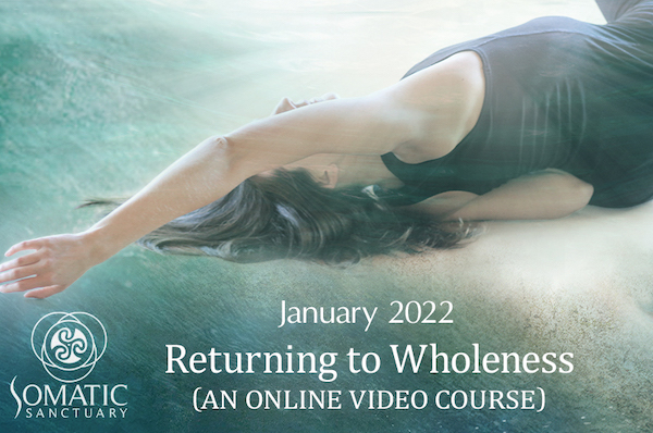 Returning to Wholeness (A Comprehensive Continuum Experience VIDEO COURSE)