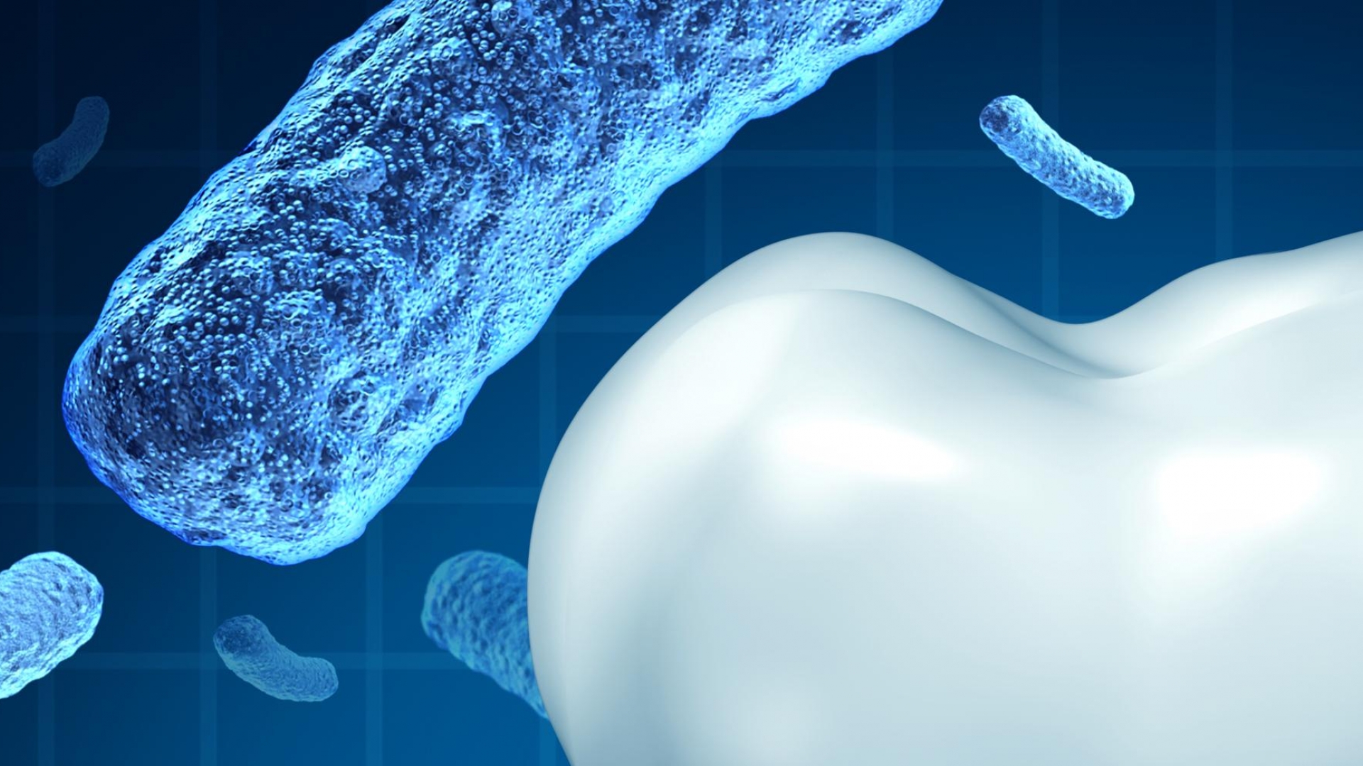 How Oral Hygiene Affects Overall health Great Lakes Dental