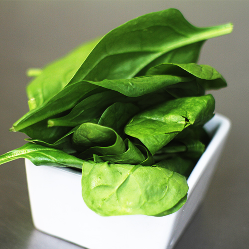 Pizza Fino Employment Form Work at Pizza Fino