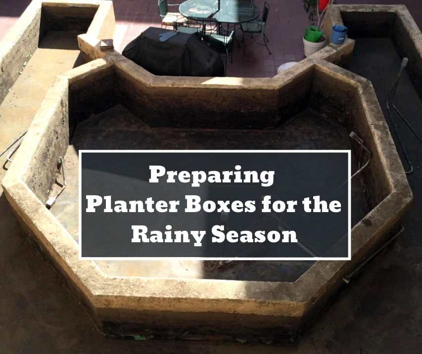 how to prepare a planter box