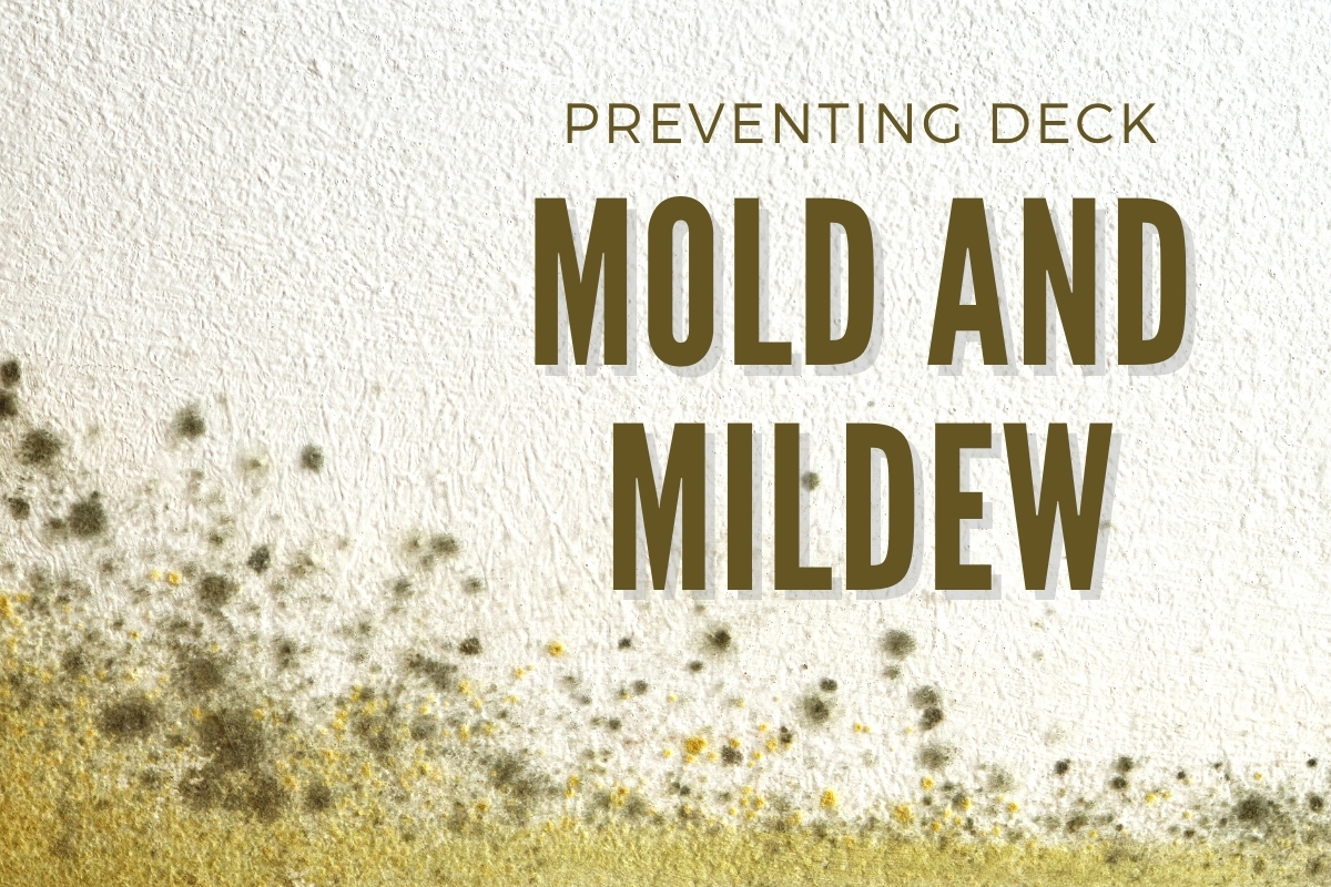 How to Prevent Mold and Mildew on Your Deck