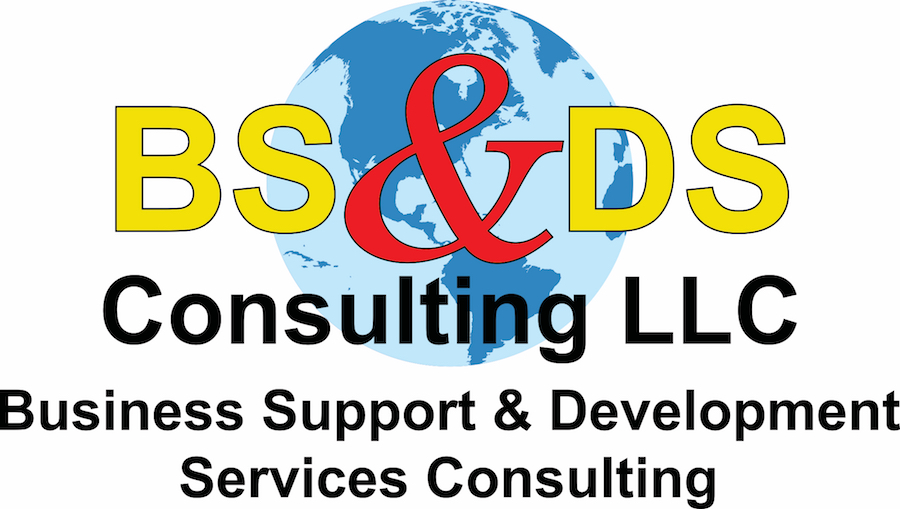BS&DS Consulting Services