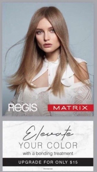 Regis Salon Elevate Your Color