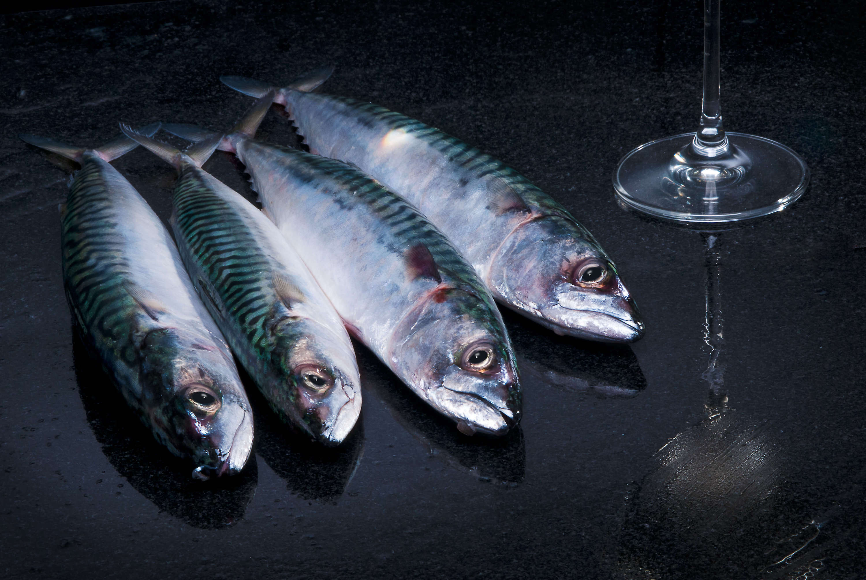 Mmarkel Fish Fish merchant – London – Coast & Kitchen