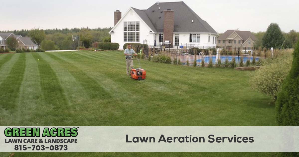 Live Oak Lawn Aeration Aeration | Just Right Lawns