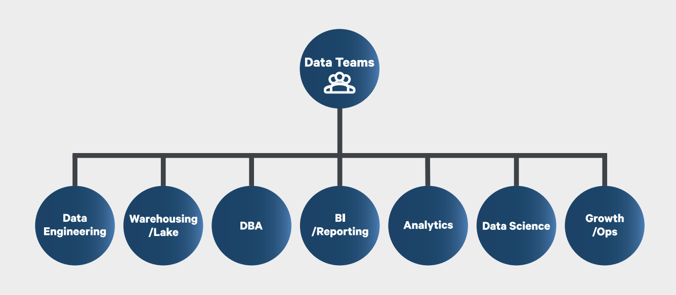 5c1934f3634cfe68da46f813_Data Team 5.png