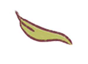 floating leaf