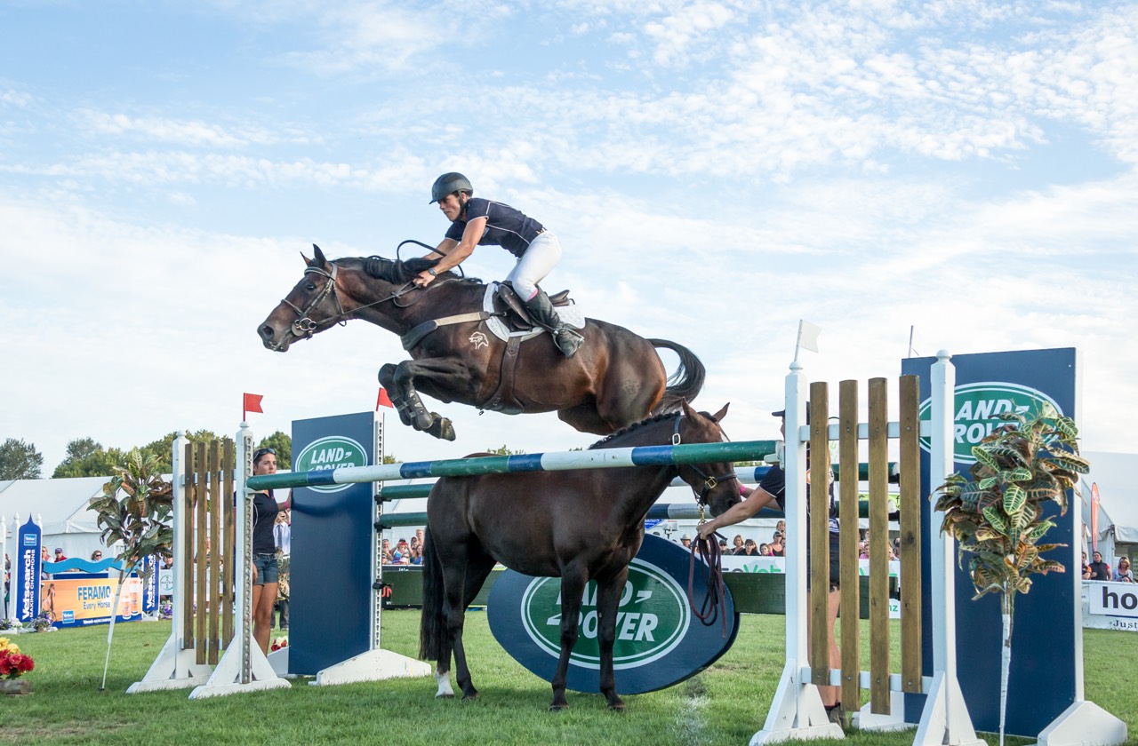 Equestrian & Showjumping Vicki Wilson