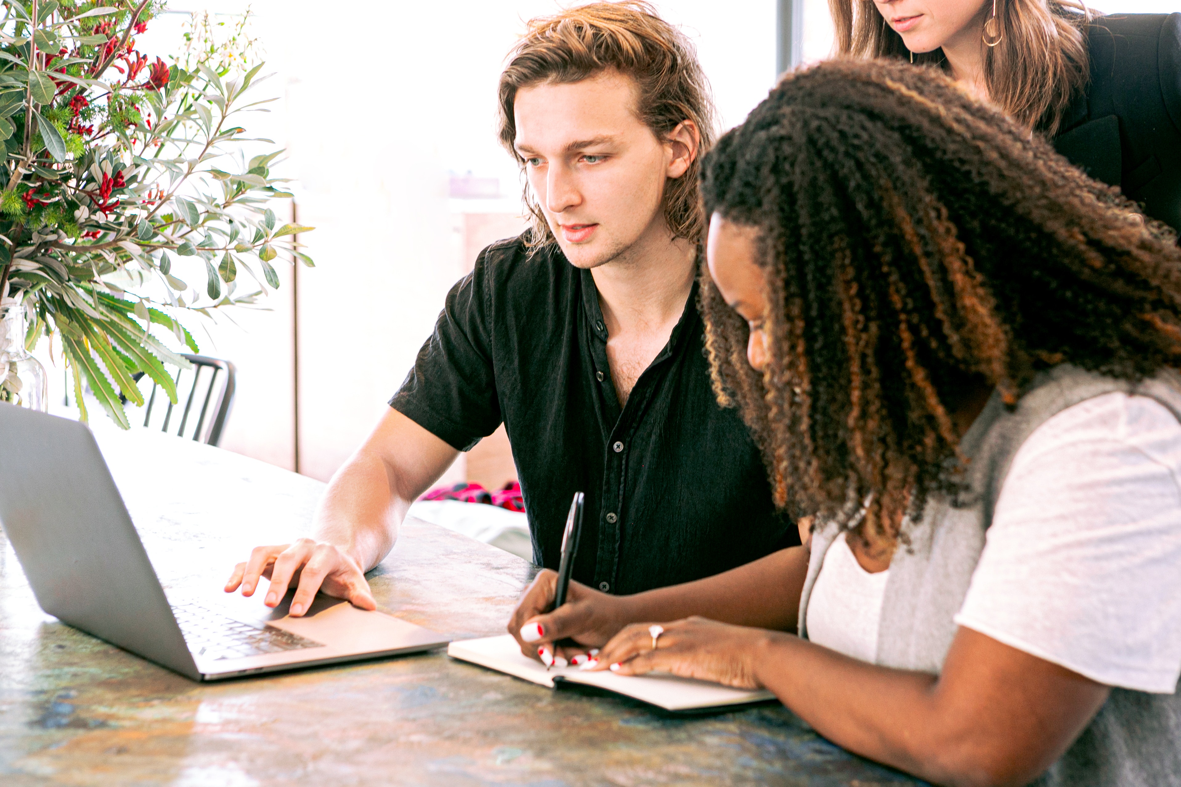 trabajo en equipo para desarrollar un plan de marketing