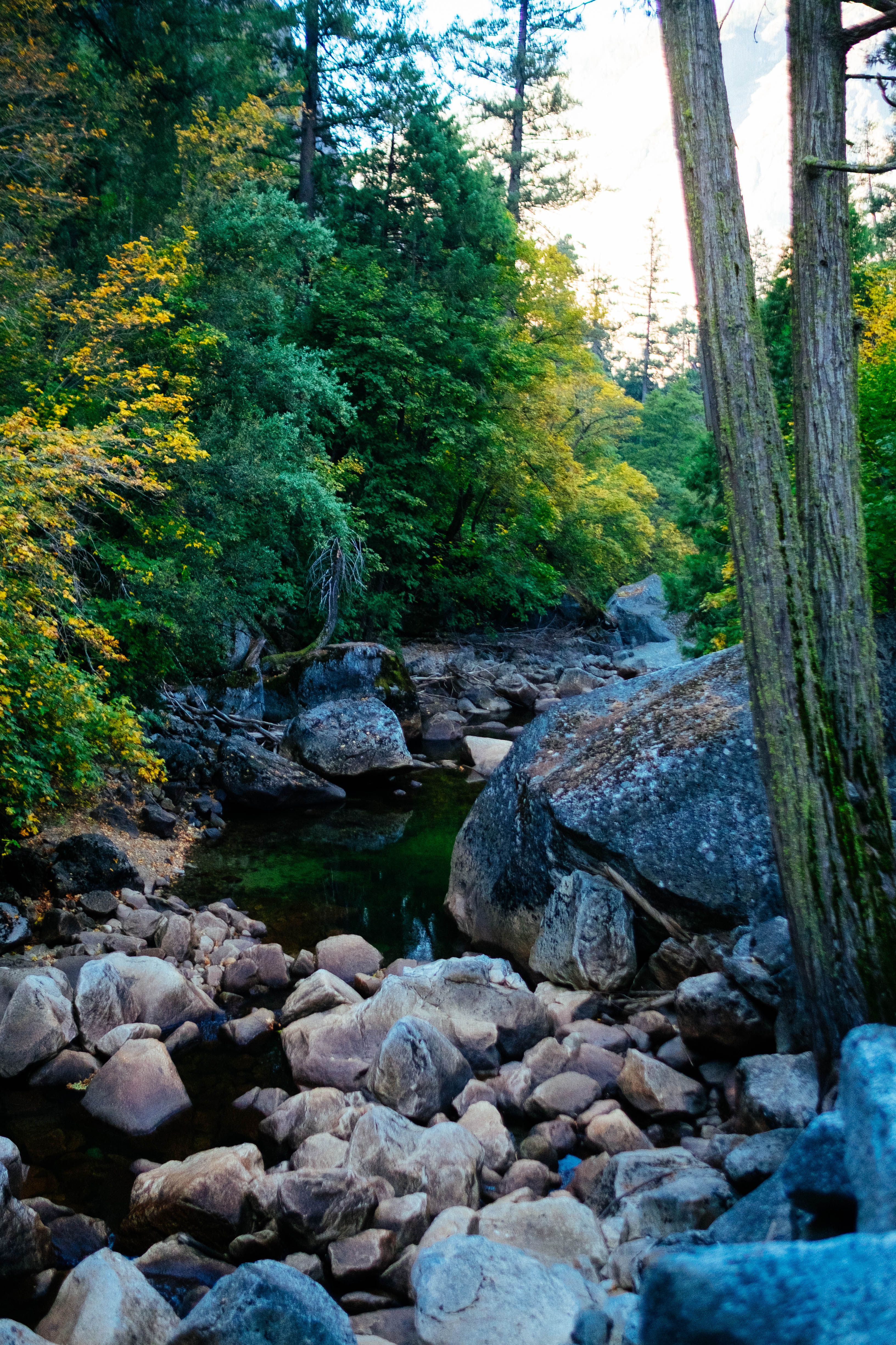 Yosemite stream