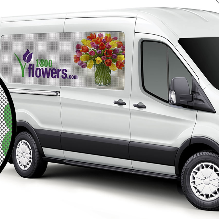 Print Window Graphics