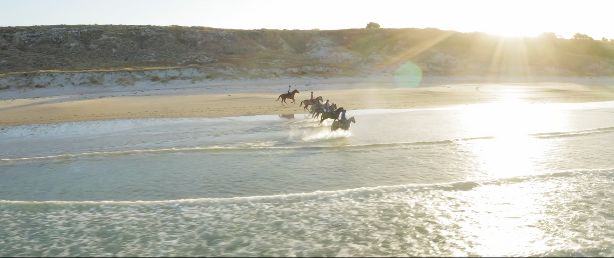 Dromgool Horsemanship - Brian Mead