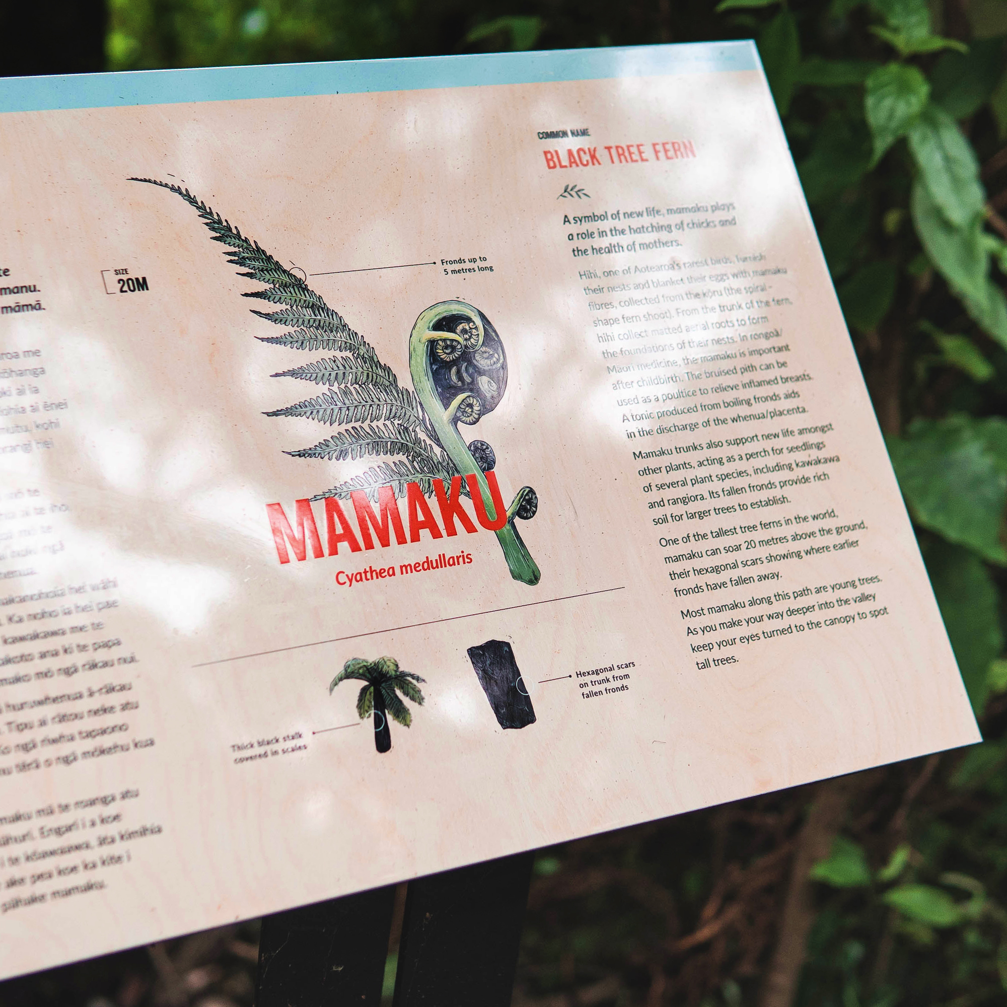 Zealandia Ecosanctuary - Pippa Keel