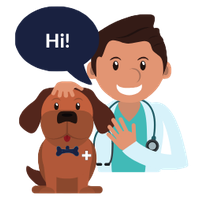 Pet & Vet Milford - Portia Brodie