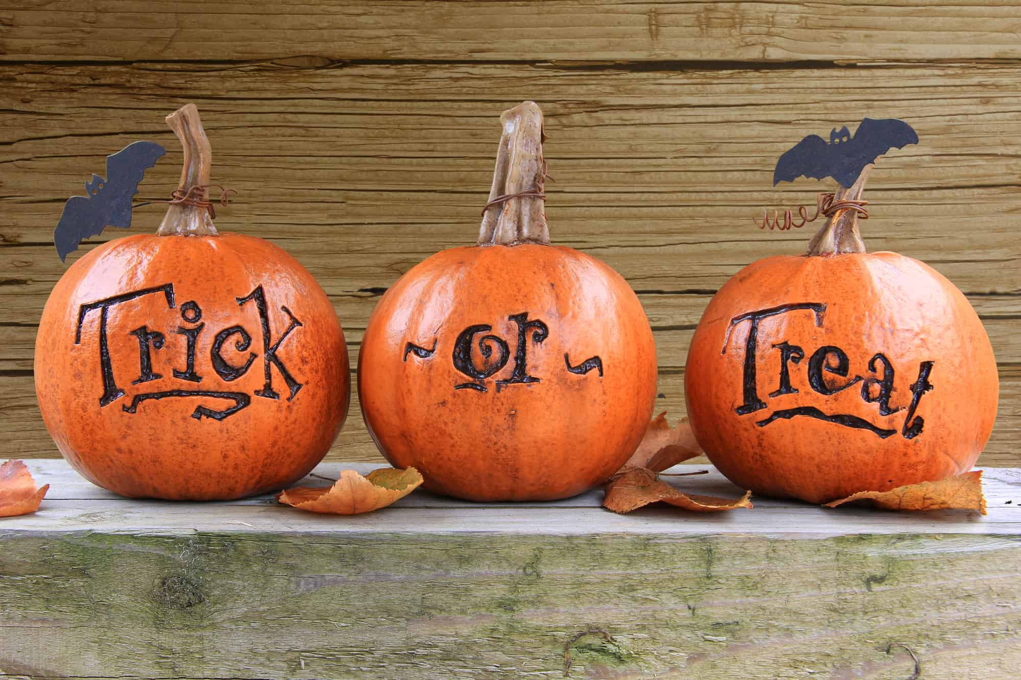 pumpkins that say trick or treat