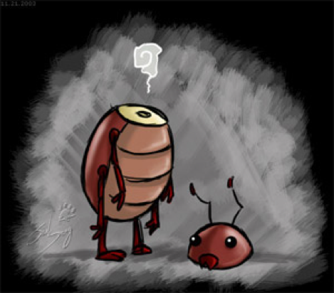 getting rid of cockroach