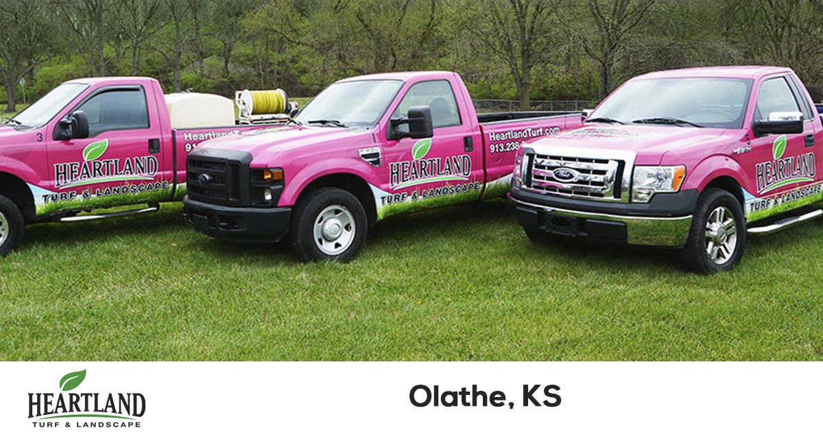 Olathe Lawn Care Company