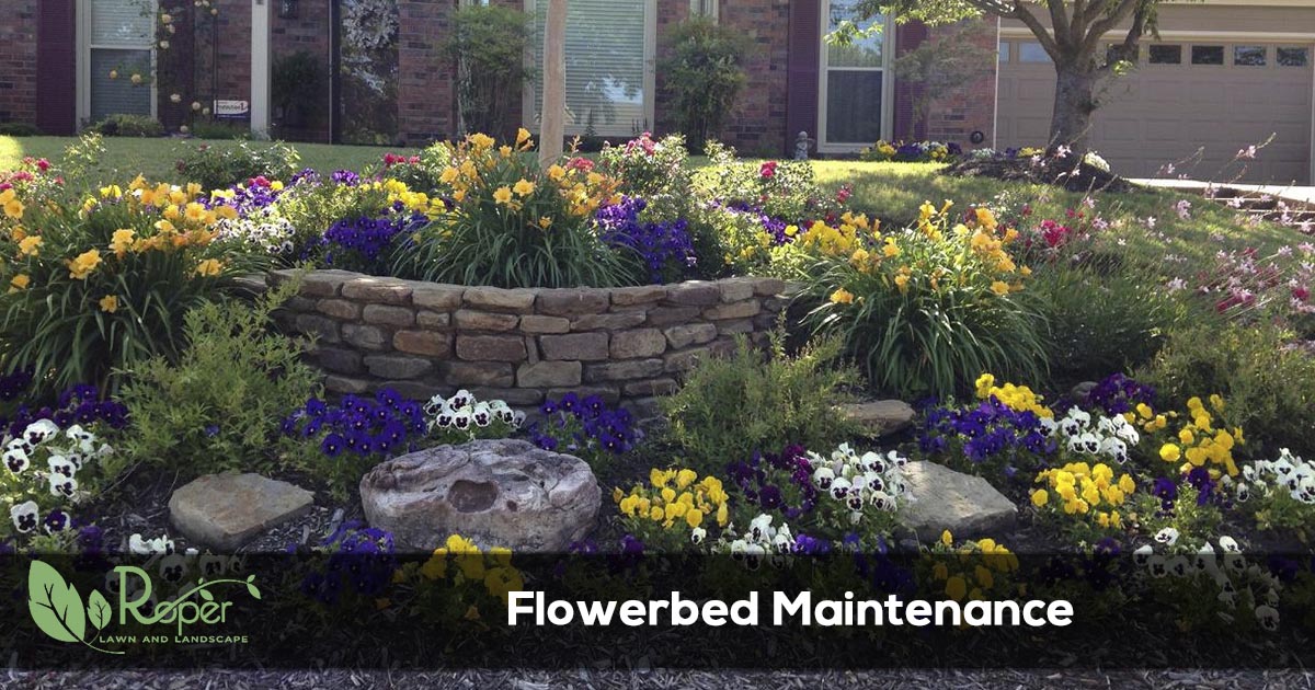 flowerbed maintenance
