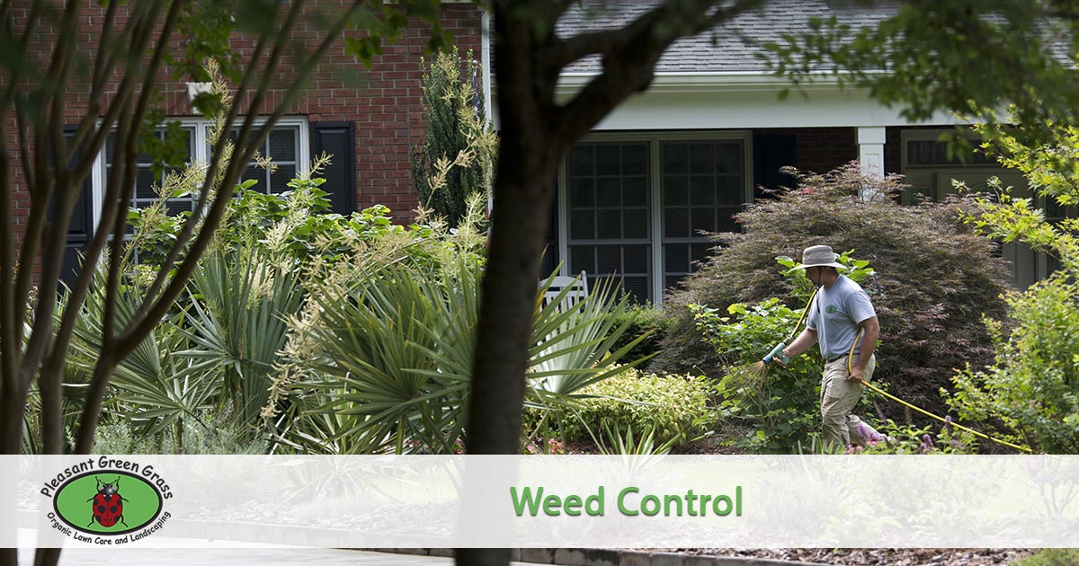 Weed spraying