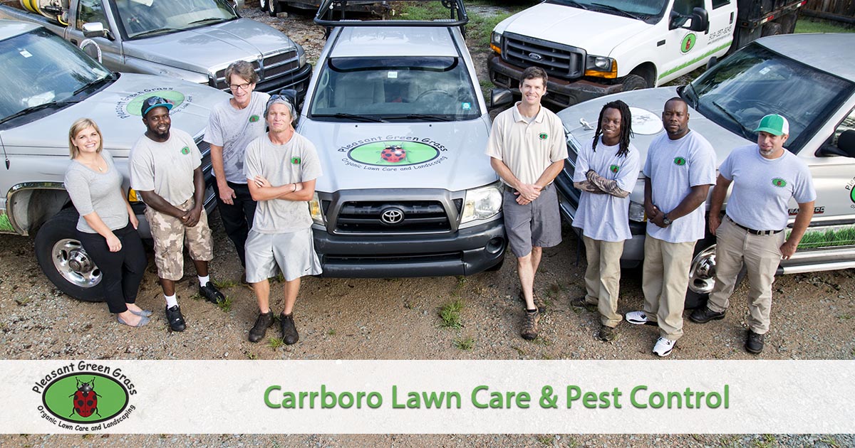 Carrboro Lawn Service
