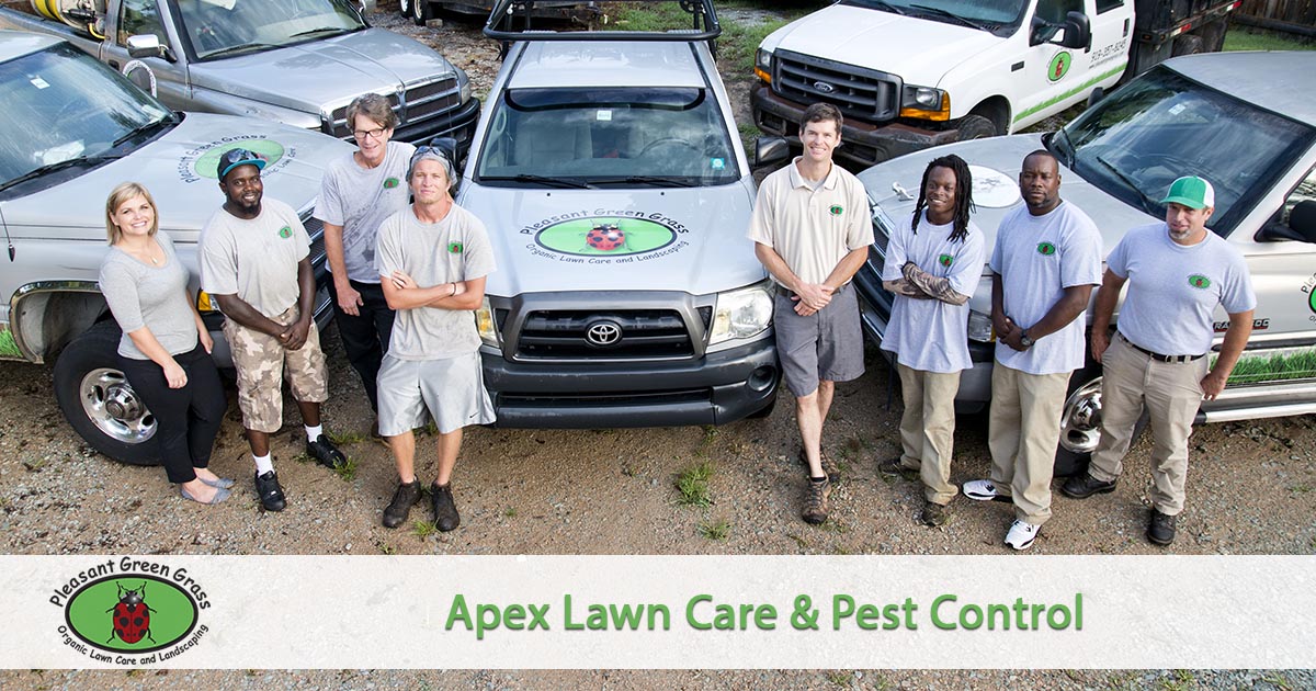 Apex Lawn Service