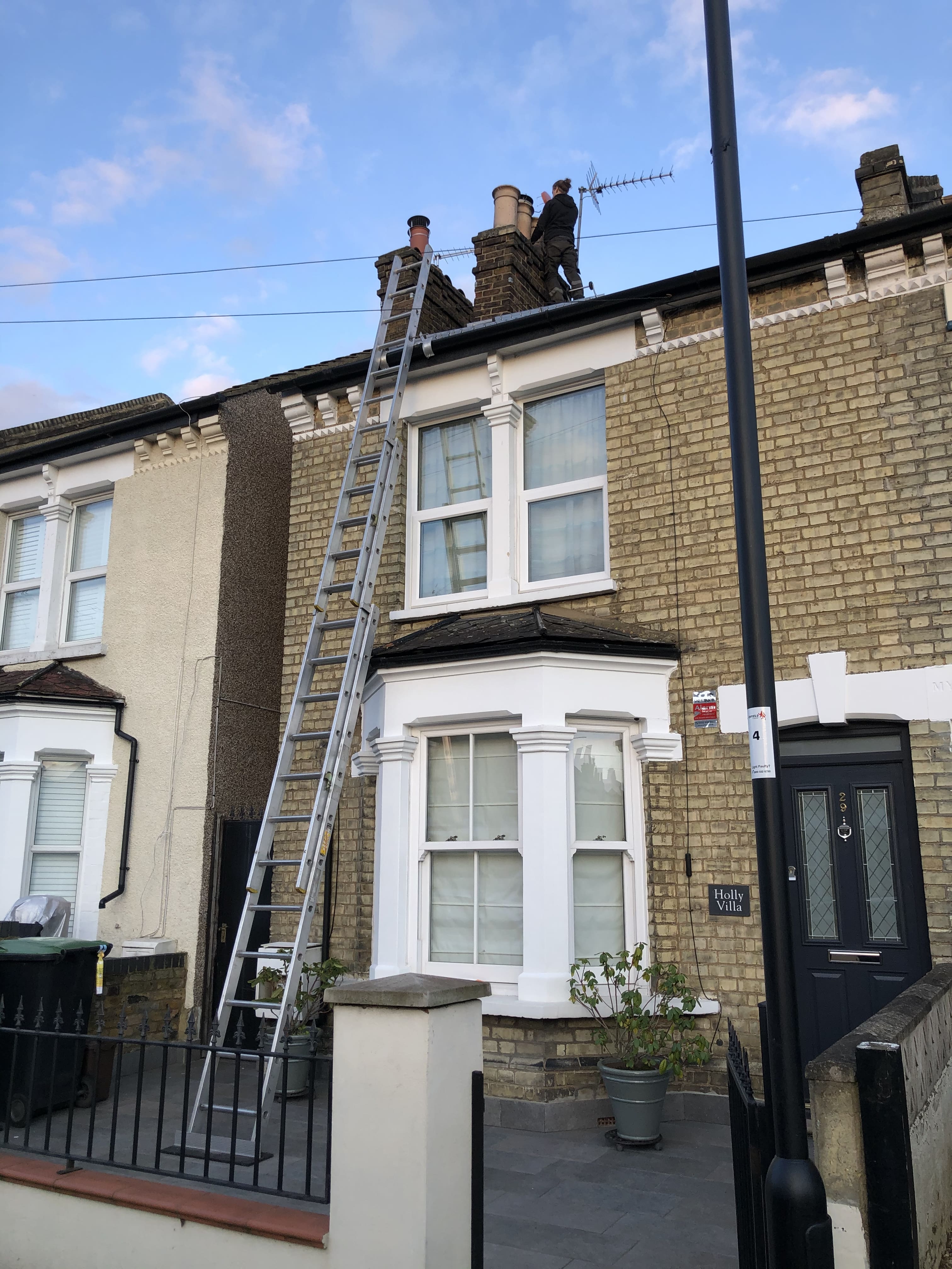 chimney bird guard