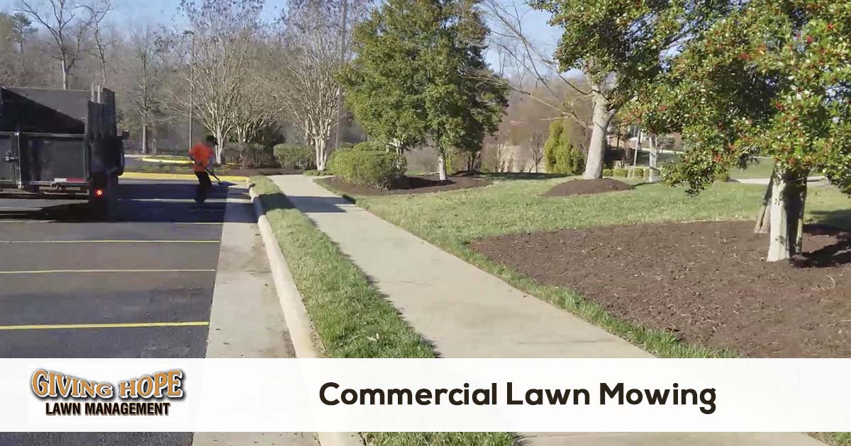 lawn mowing for business