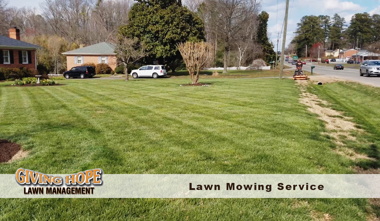 Lawn Mowing Service