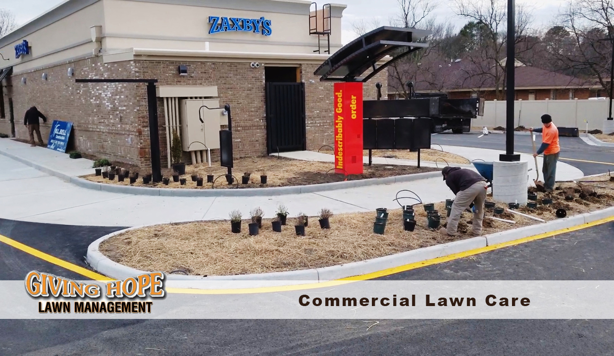 lawn care for business