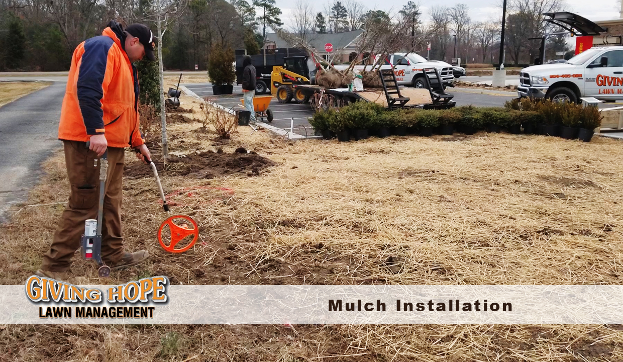 landscape mulch