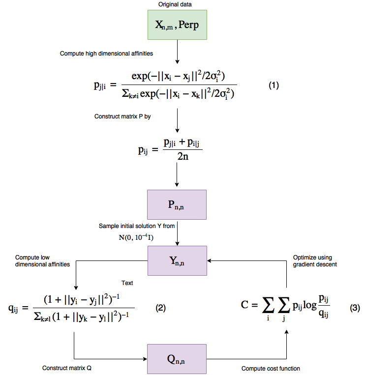 Figure 3 t-SNE workflow