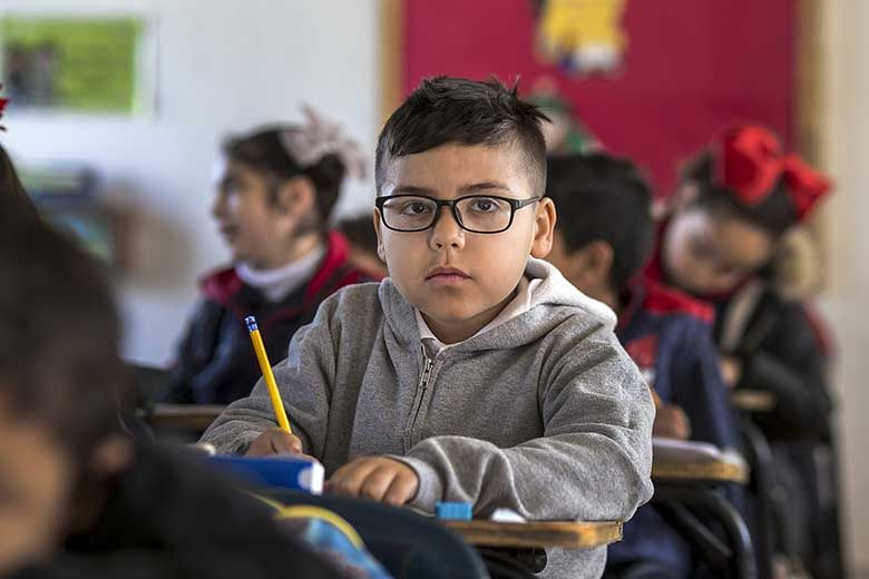 Schools’ best pest control