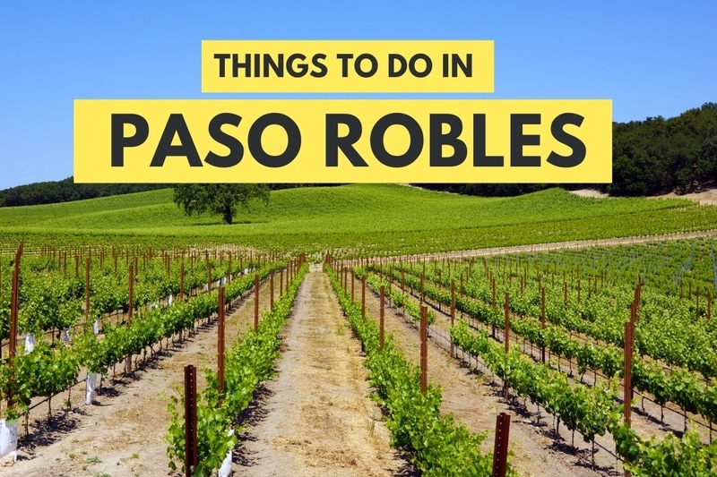 Paso Robles For Foodies 9 Delicious Things To Do You Cant Miss - uk9cpcs