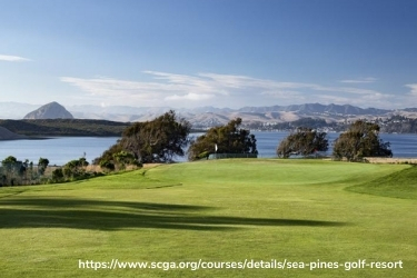 View at Sea Pines Golf Resort