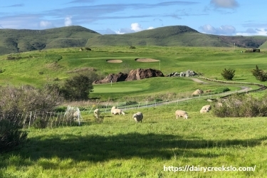 View at Dairy Creek Golf Course
