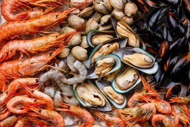 Variety of Shrimps and oysters