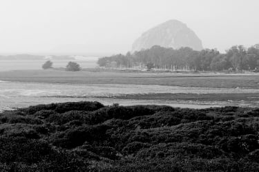 El Moro Elfin Forest with view to the Morro rock