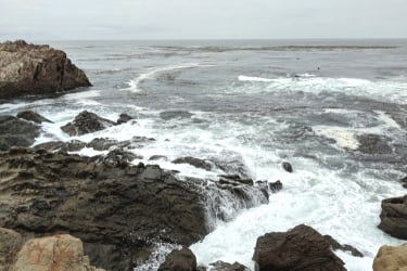 Rocks at Estero Bluffs State Park