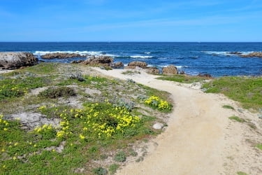 Walking trail at Estero Bluff