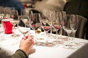 Table with many glasses of wine