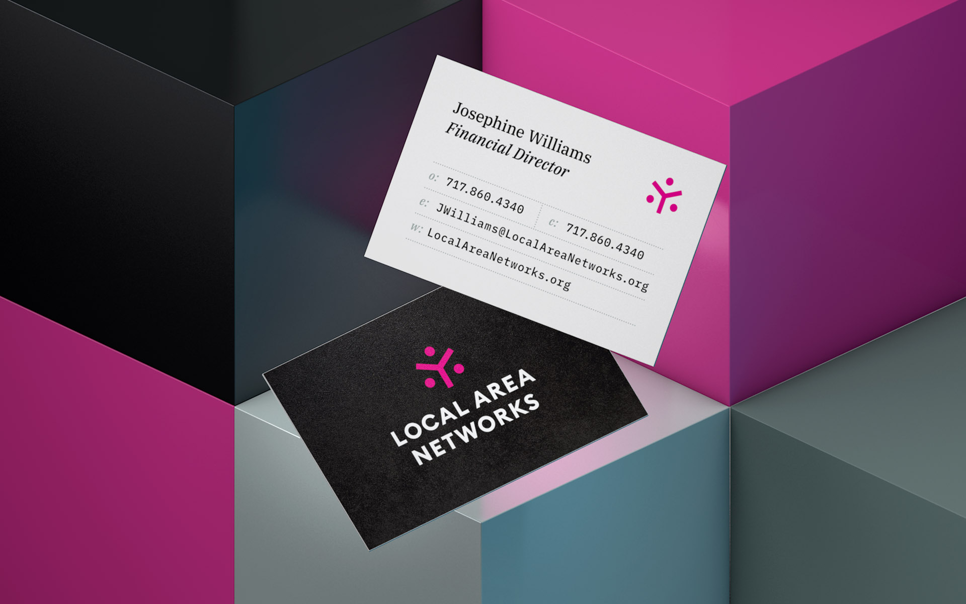 Mockup of Local Area Networks business cards